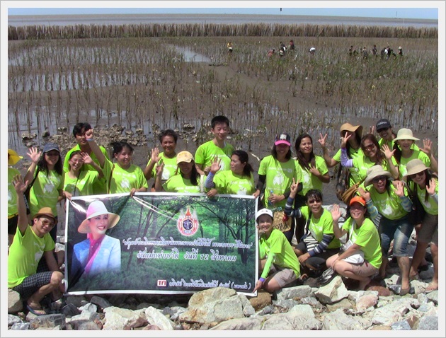 TFI employees participating in a mangrove planting activity to restore coastal ecosystems